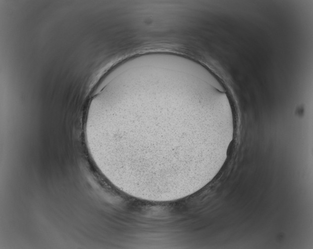 X0000115680107200912241449