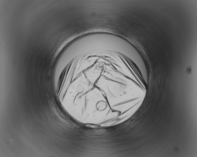 X0000115680108200912241449