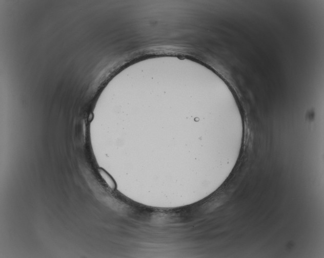 X0000115680109200912241449