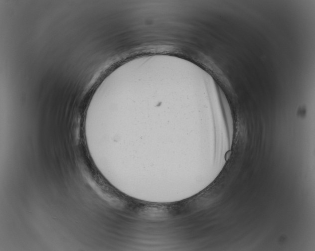 X0000115680110200912241449