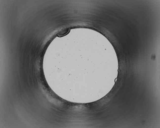 X0000115680112200912241449