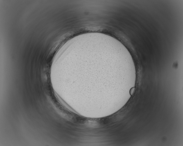 X0000115680114200912241449