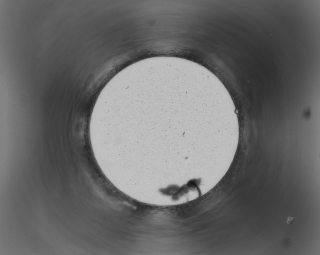 X0000115680115200912241449