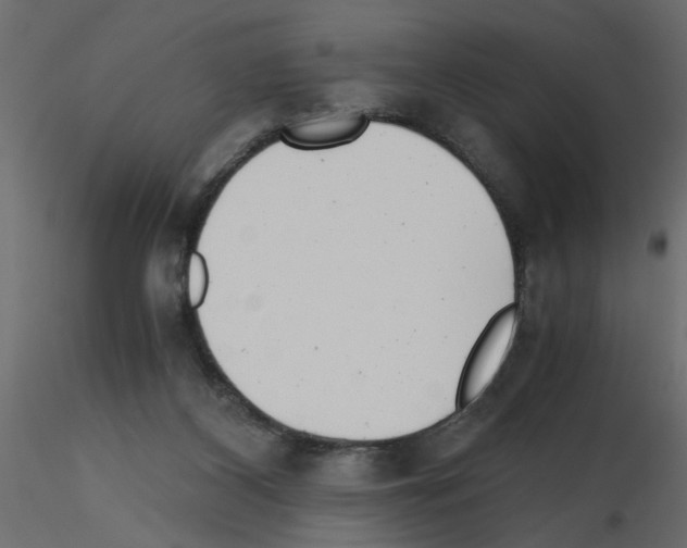 X0000115680116200912241449
