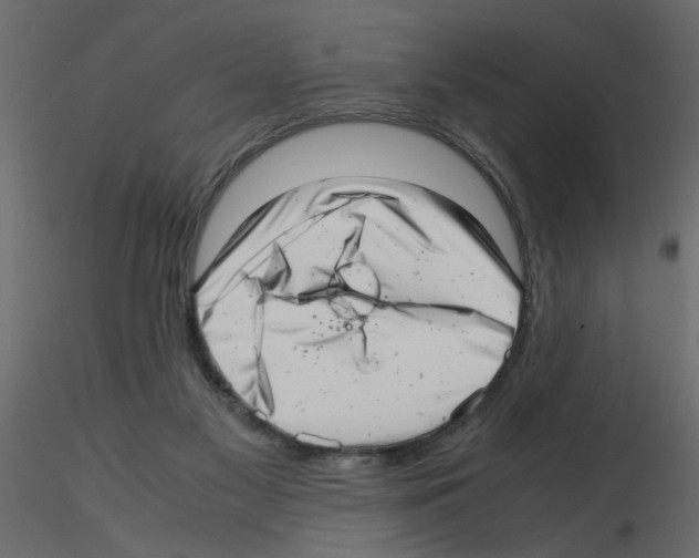 X0000115680117200912241449