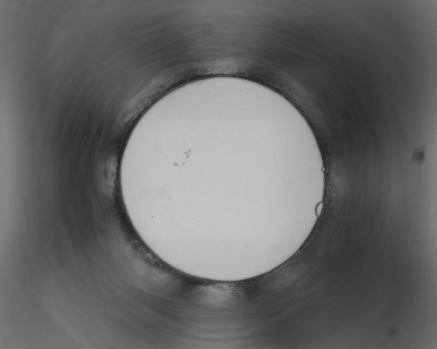 X0000115680118200912241449