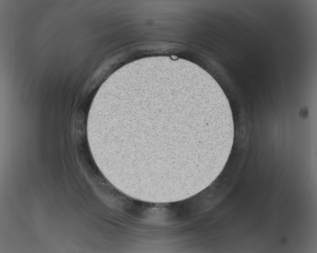X0000115680119200912241449