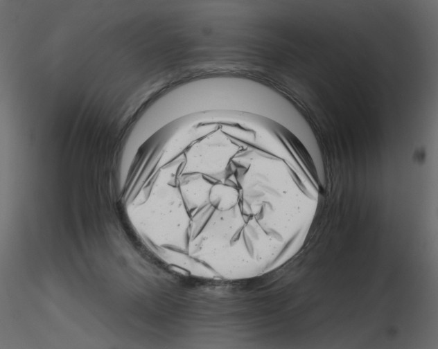 X0000115680120200912241449