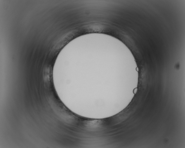 X0000115680122200912241449