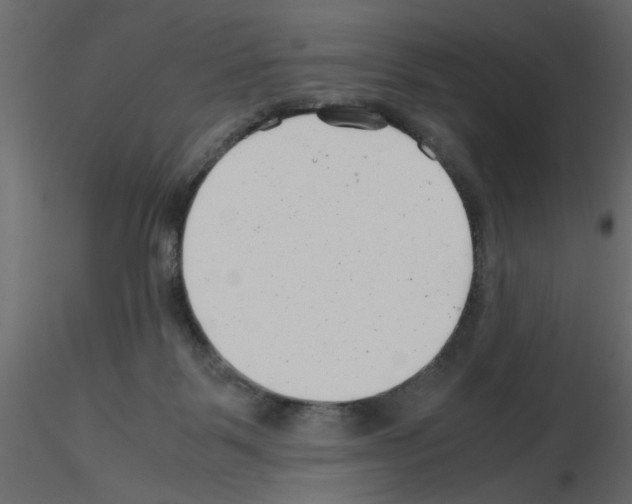 X0000115680123200912241448