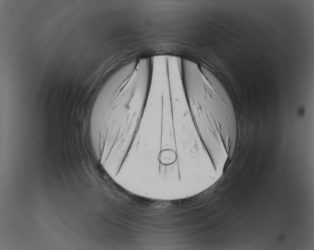 X0000115680124200912241448