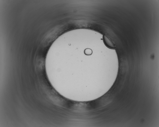 X0000115680125200912241448
