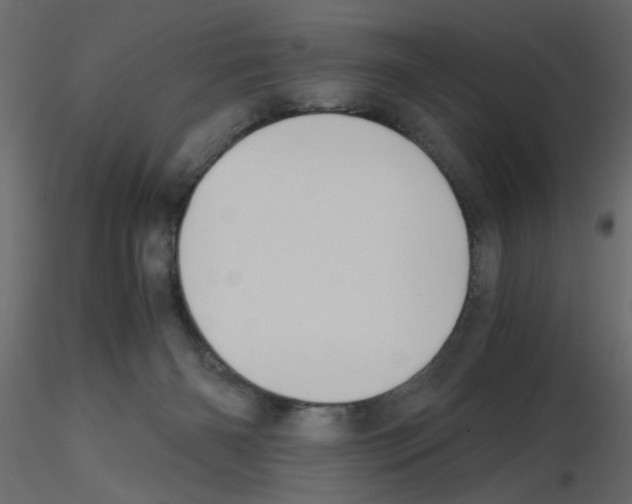 X0000115680126200912241448