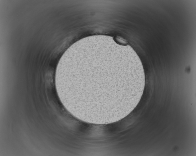 X0000115680127200912241448