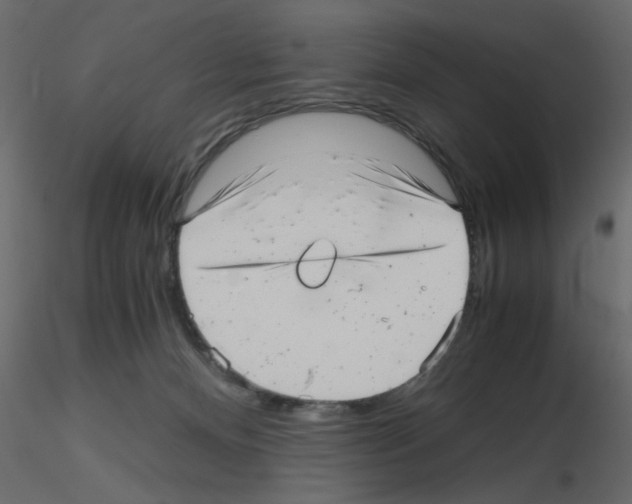 X0000115680128200912241448