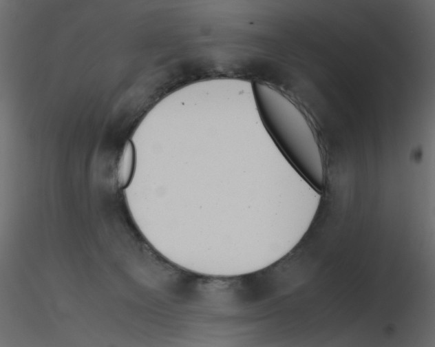 X0000115680129200912241448