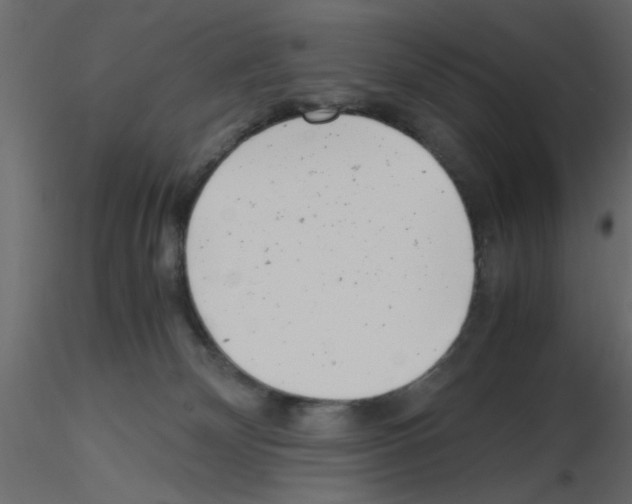 X0000115680132200912241448