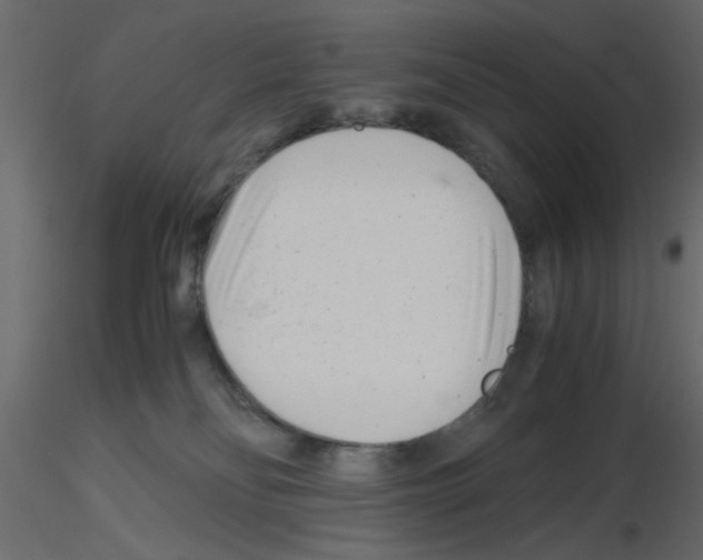 X0000115680134200912241448