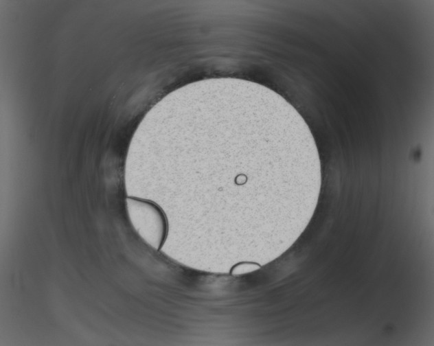 X0000115680135200912241448