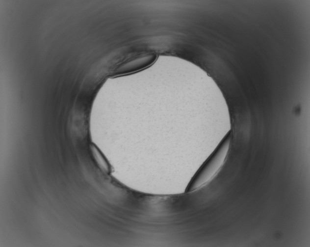 X0000115680136200912241448