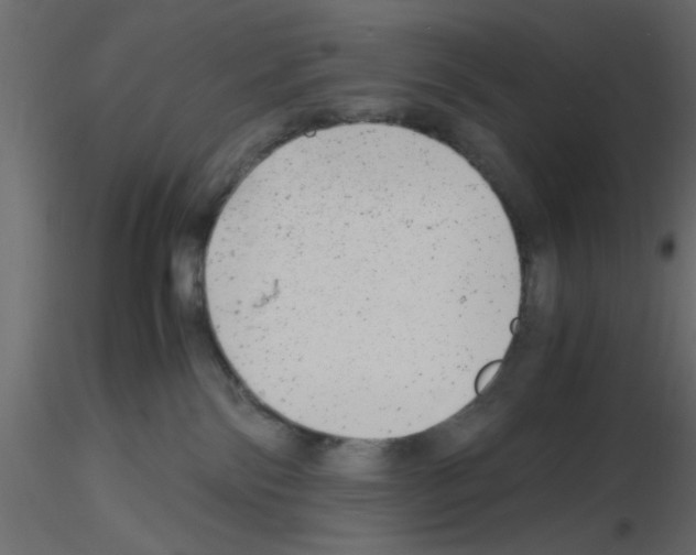 X0000115680138200912241448