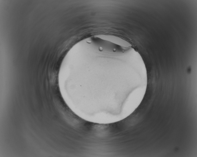 X0000115680139200912241448