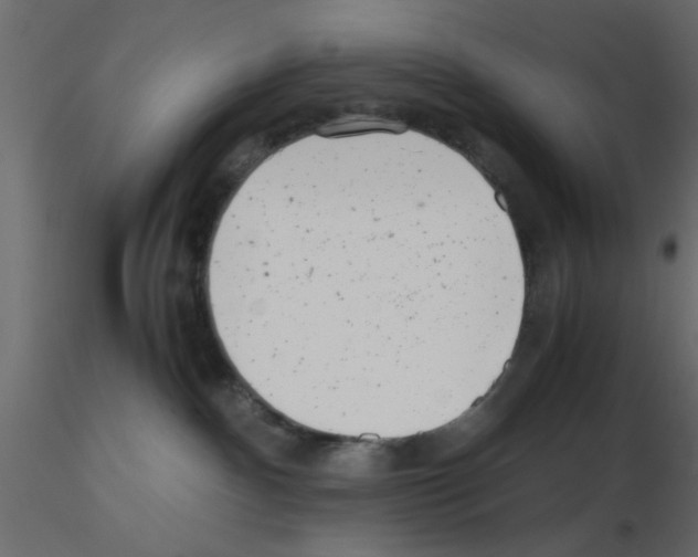 X0000115680140200912241448