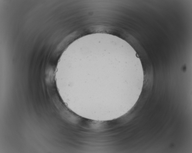 X0000115680142200912241448