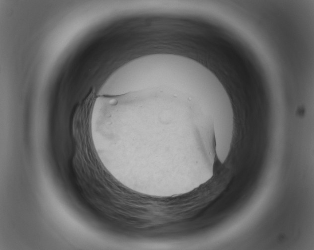 X0000115680143200912241448