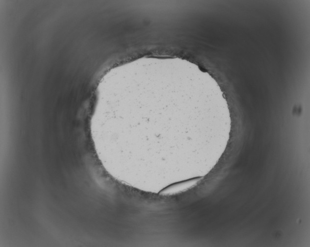 X0000115680144200912241448