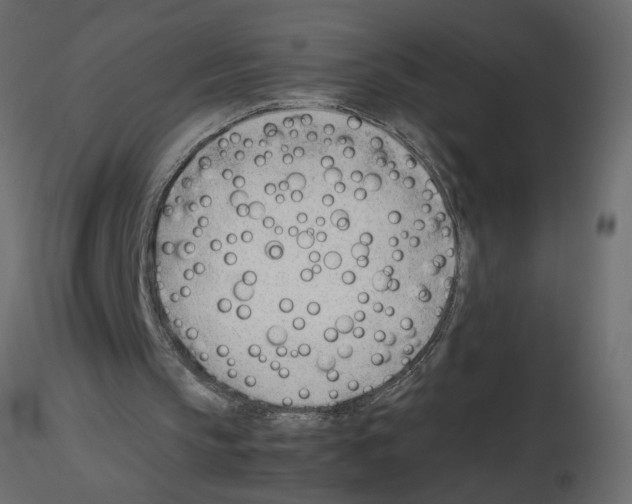 X0000115680145200912241448