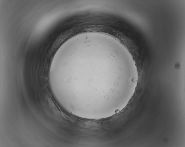 X0000115680146200912241448