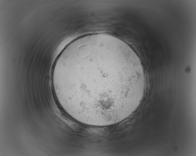X0000115680147200912241448