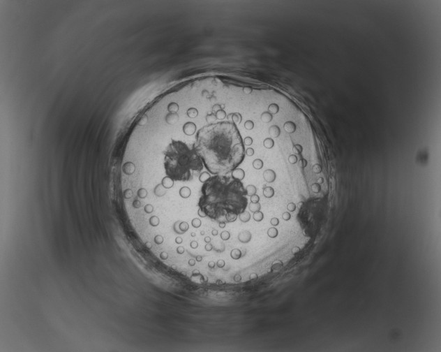 X0000115680149200912241448