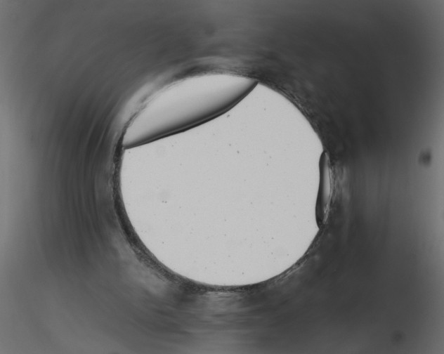 X0000115680150200912241448
