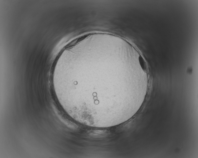 X0000115680151200912241448