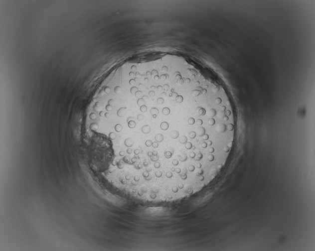 X0000115680153200912241448