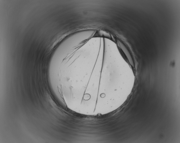 X0000115680154200912241448