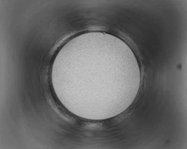X0000115680155200912241448
