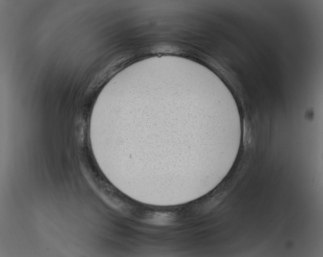 X0000115680157200912241448