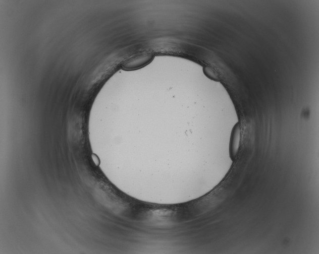 X0000115680158200912241448