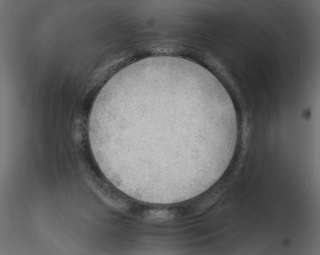 X0000115680161200912241448
