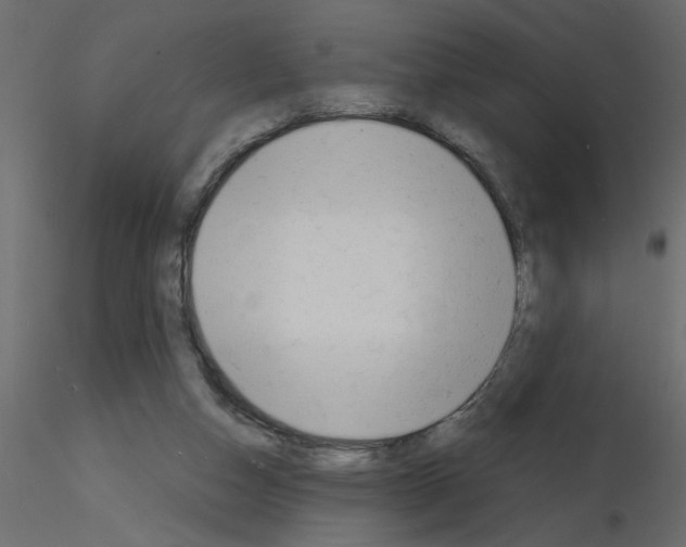X0000115680162200912241448