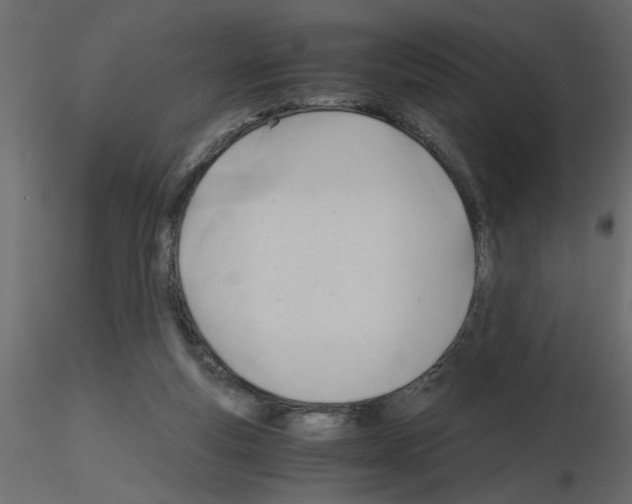 X0000115680163200912241448