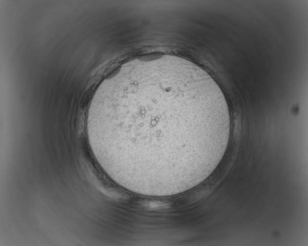 X0000115680165200912241448
