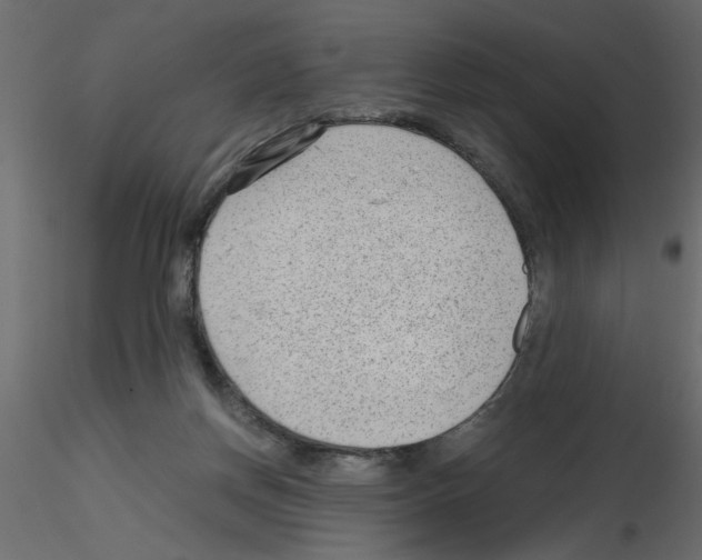 X0000115680166200912241448