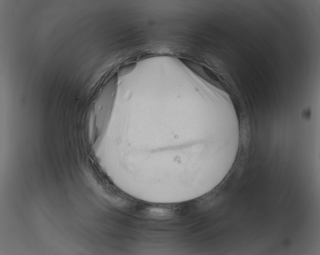 X0000115680167200912241448