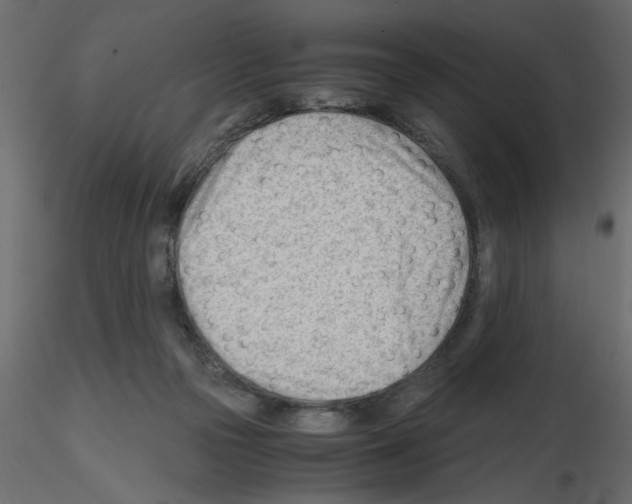 X0000115680169200912241448