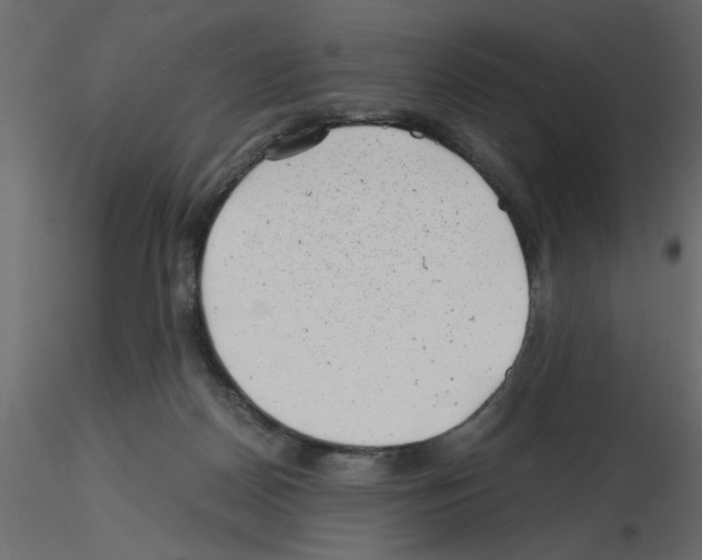 X0000115680170200912241448