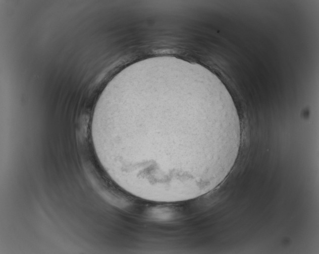 X0000115680171200912241448